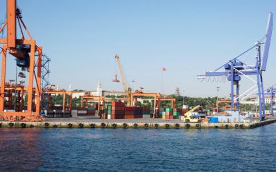 Implementación exitosa de RPA en Terminal Puerto Rosario SA